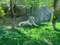 -北京野生动物园