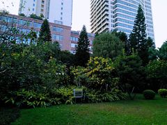 -东风公园