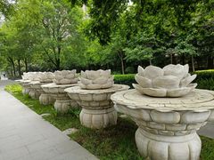 -木塔寺遗址生态公园