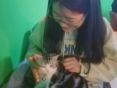 -李小姐の猫咖啡馆(五角场店)