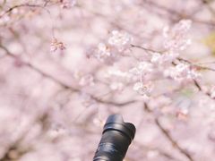 -静安雕塑公园