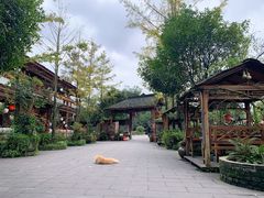 -青城甲(青城山店)