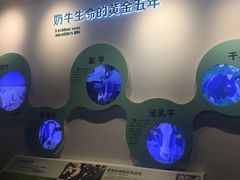 -君乐宝优致牧场
