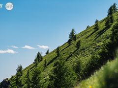 -灵山