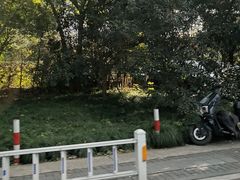 -西湖游船