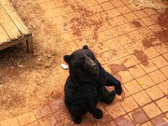 -昆明动物园
