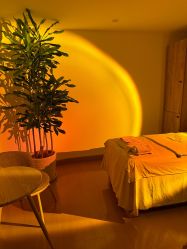 -薇薇安花系SPA