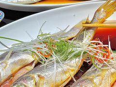 -京悦南门涮羊肉·羊蝎子火锅(田林路店)