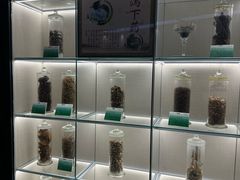 -广东中医药博物馆