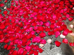 -厦门日月谷温泉渡假村