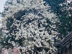 -潭柘寺景区