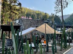 -MOJ coffee(瓯海泽雅水碓坑店)