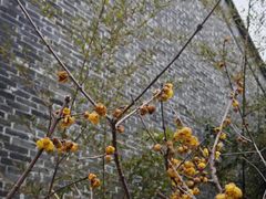 -梦溪园(中营街)