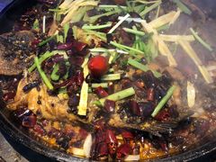 -老板恋上鱼(恒隆广场店)