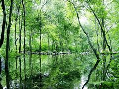-玉渡山风景区-售票处