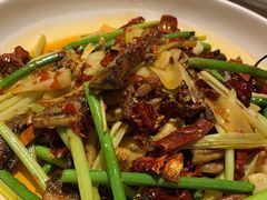 -铁公鸡·四川料理(天环广场店)