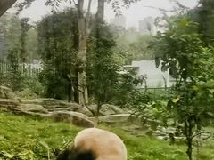 -武汉动物园