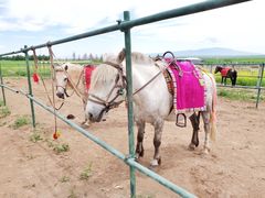 -扁都口生态休闲旅游区