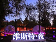 -维斯特·夜烤牛肋条任吃