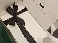 -BLACKSWAN黑天鹅(环球店)