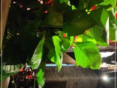 -北方家宴(番禺永旺店)