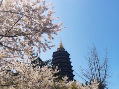 -红梅公园
