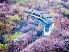 -居庸关长城