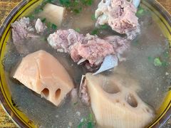 -燕子煨汤(山海关路店)