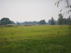 -汉长安城未央宫国家考古遗址公园