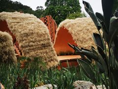 -深圳仙湖植物园