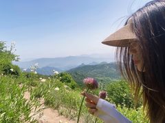 -阳台山自然风景区