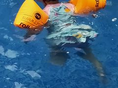 -Swim斯卫姆国际儿童游泳中心(红博中央公园店)