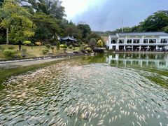 -谷丰健康凤贤居酒家