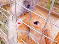 -安德鲁户外烧烤帐篷营地(马泉营店)