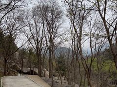 -沂蒙山旅游区龟蒙景区