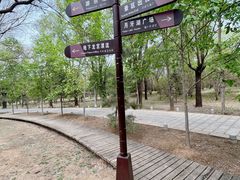 -泰安地下龙宫景区