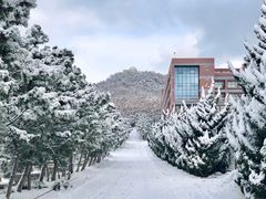 -山东大学(威海校区)