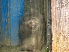 -贵州森林野生动物园