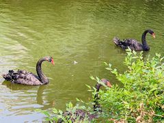 -长白岛森林公园