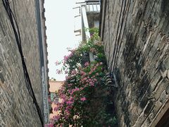 -小洲村