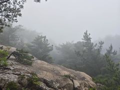 -崂山巨峰游览区
