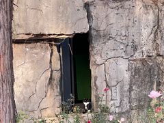 -武汉动物园