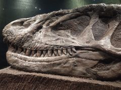 -自贡恐龙博物馆