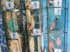 -范饭椰林川湘味海鲜·椰子鸡(三亚湾椰梦长廊店)