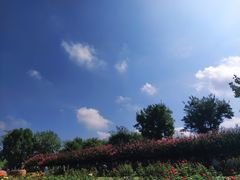 -武汉紫薇都市田园