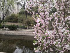 -海棠花溪(元大都城垣遗址公园)