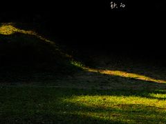 -杭州植物园