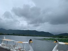 -长田漾湿地公园