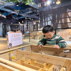 点击看大图 -酷嗒动物文化乐园(cutezoo西溪乐天城店)