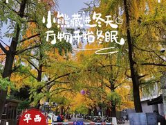 -四川大学(华西校区)